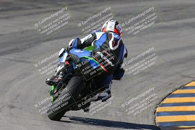 media/Feb-04-2024-SoCal Trackdays (Sun) [[91d6515b1d]]/4-Bowl Backside (11am)/